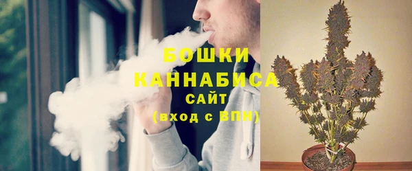 ПСИЛОЦИБИНОВЫЕ ГРИБЫ Гусев