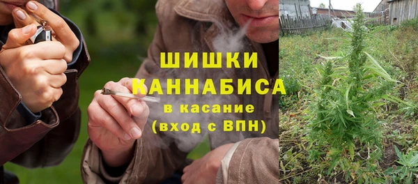 ПСИЛОЦИБИНОВЫЕ ГРИБЫ Гусев