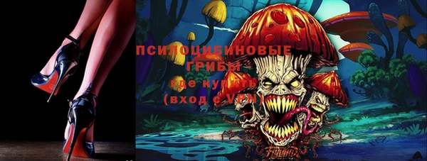 мескалин Ельня